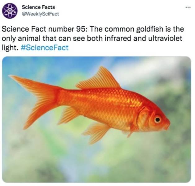 Science Facts (30 pics)