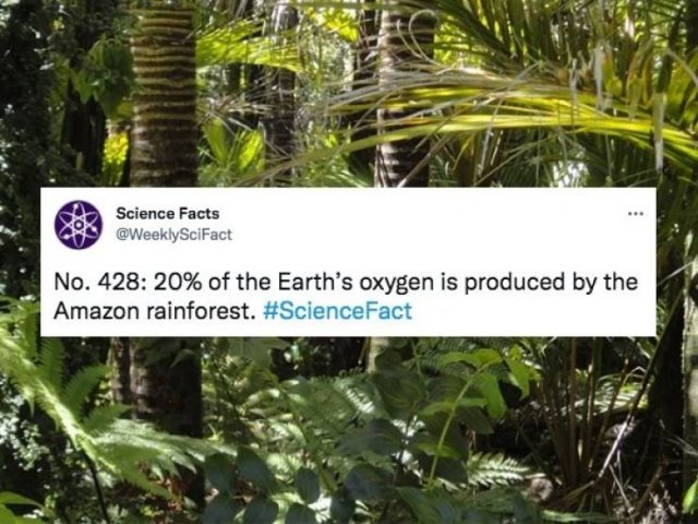 Science Facts (30 pics)