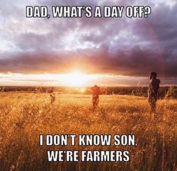 Country Memes (32 pics)