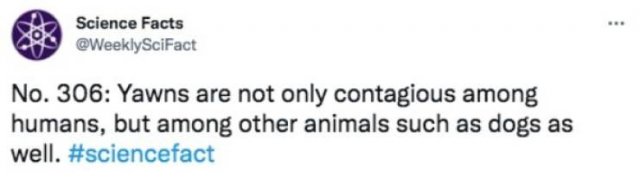 Science Facts (30 pics)