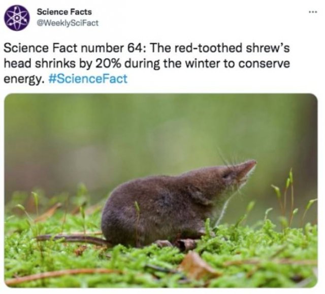 Science Facts (30 pics)