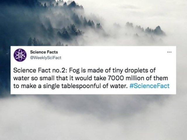 Science Facts (30 pics)