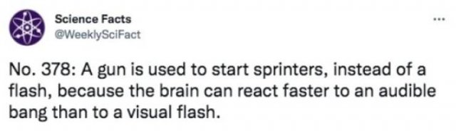 Science Facts (30 pics)