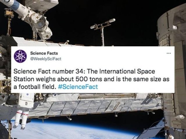 Science Facts (30 pics)