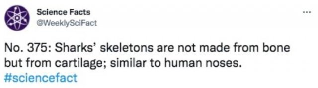 Science Facts (30 pics)