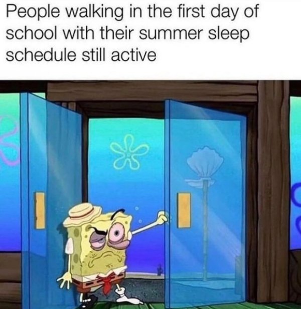 Teachers Memes (28 pics)