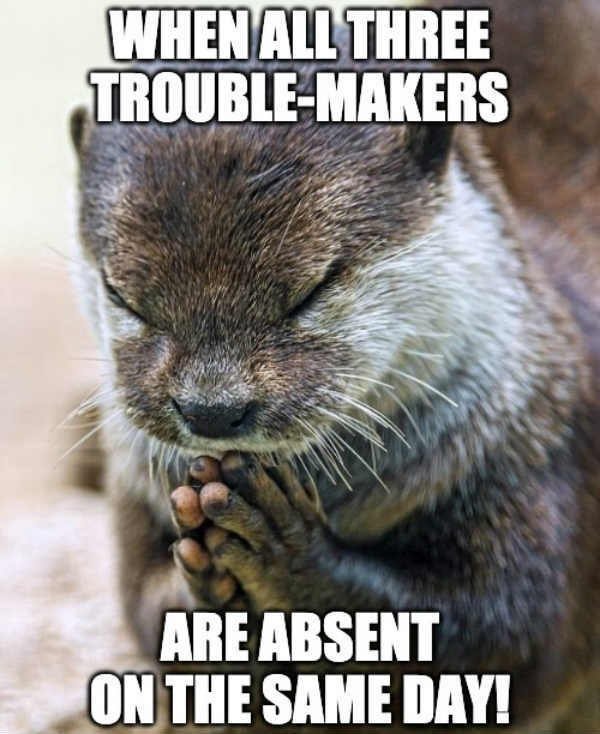 Teachers Memes (28 pics)