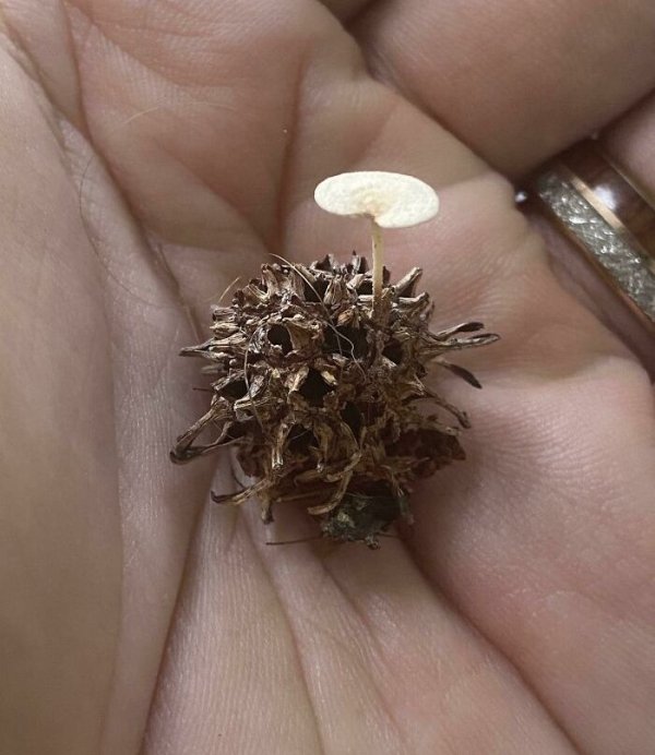 Unexpected Finds (35 pics)