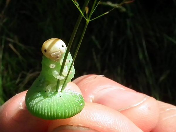 Cute Tiny Animals (30 pics)