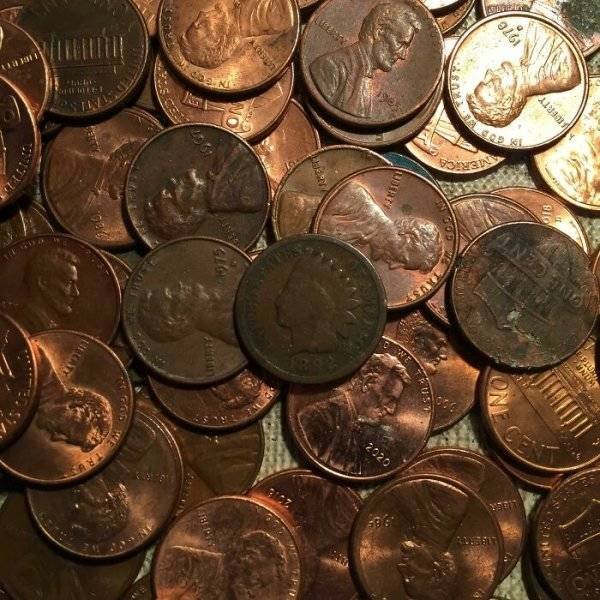 Unexpected Finds (33 pics)