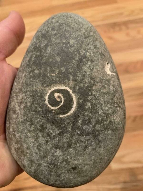Unexpected Finds (33 pics)