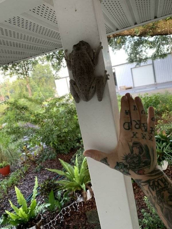 Unexpected Finds (33 pics)