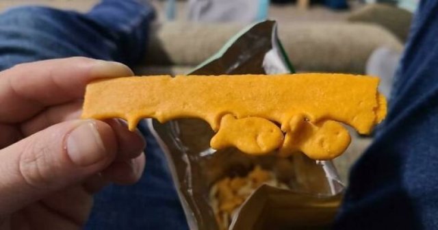Unexpected Finds (33 pics)