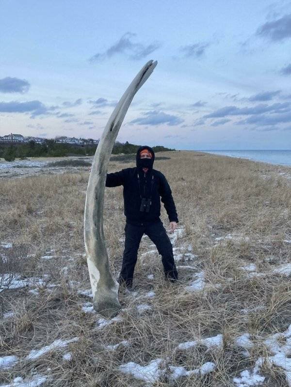 Unexpected Finds (33 pics)