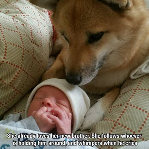 Life Is Beautiful (49 pics)