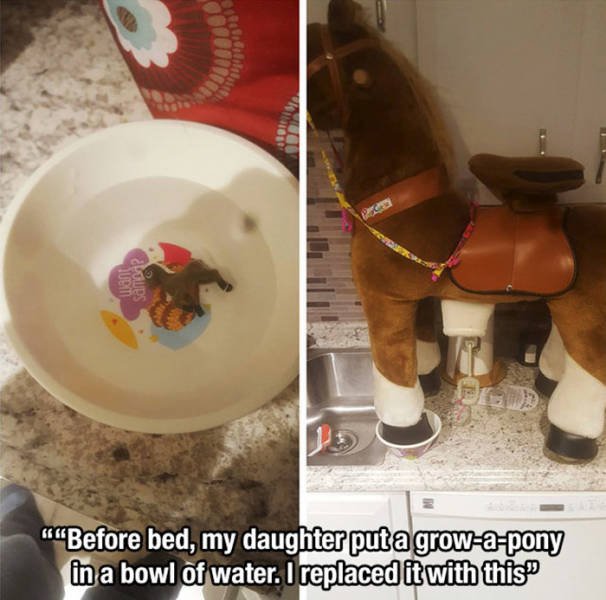 Life Is Beautiful (49 pics)