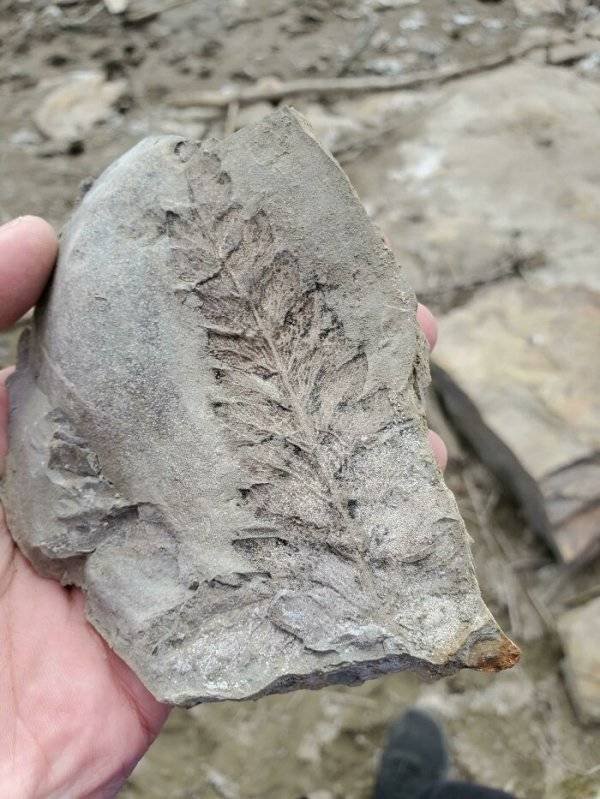 Unexpected Finds (33 pics)