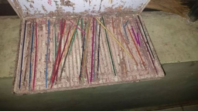 Unexpected Finds (33 pics)