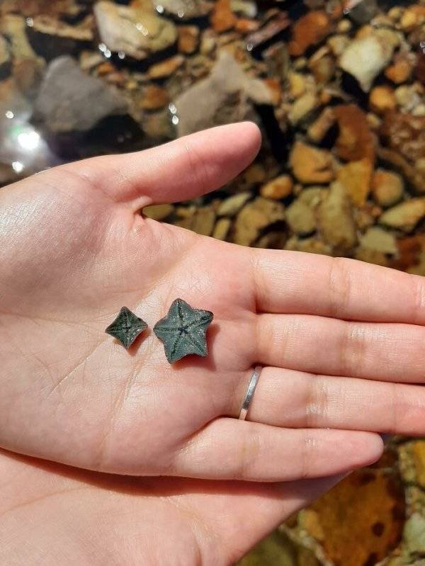 Unexpected Finds (33 pics)