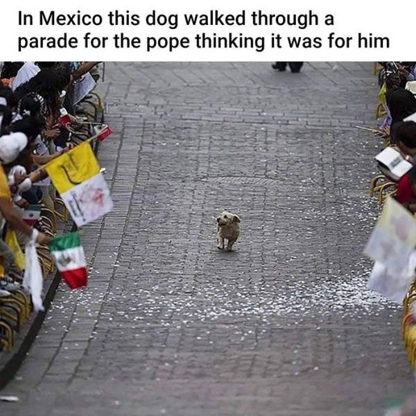 Life Is Beautiful (49 pics)