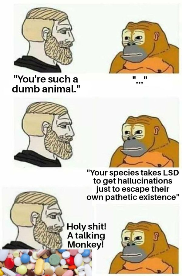 Random Funny Memes (23 pics)