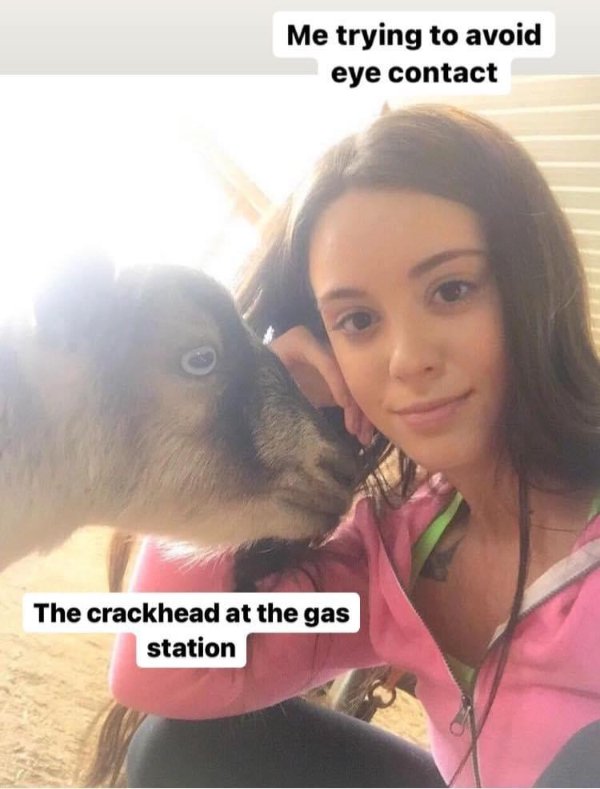 Random Funny Memes (23 pics)