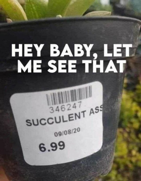 What's Going On? (28 pics) What's Going On? (28 pics)