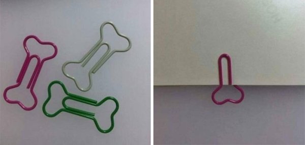 What's Going On? (28 pics) What's Going On? (28 pics)