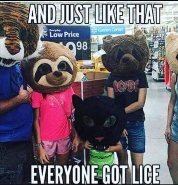 So True (29 pics)