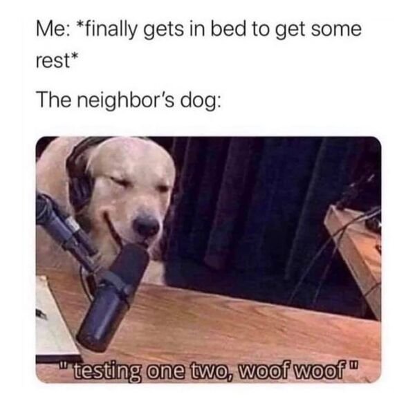 So True (29 pics)