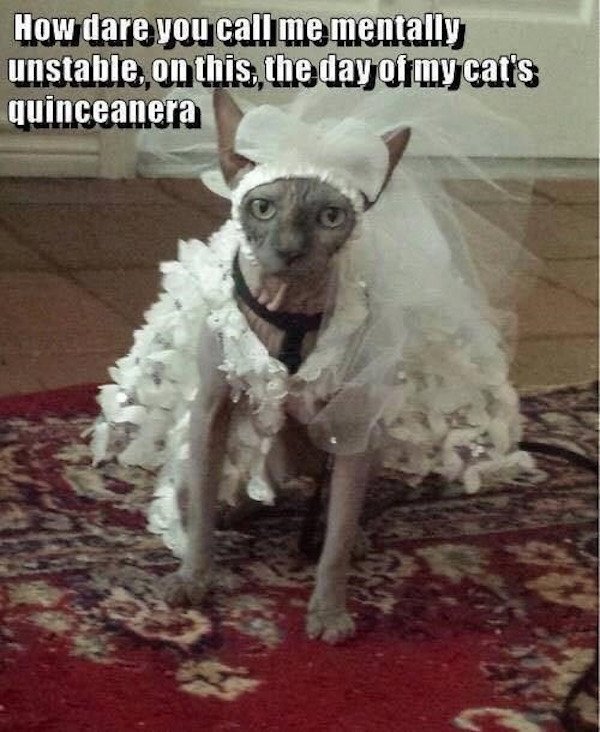 So True (29 pics)