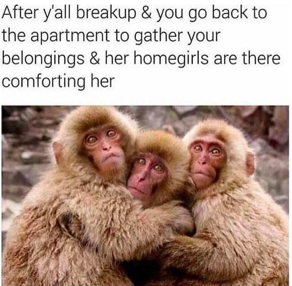 Memes For Single People (29 pics)