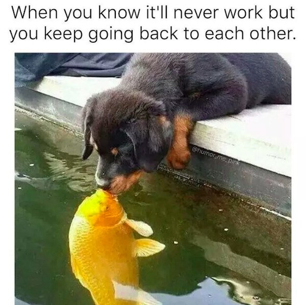 Memes For Single People (29 pics)