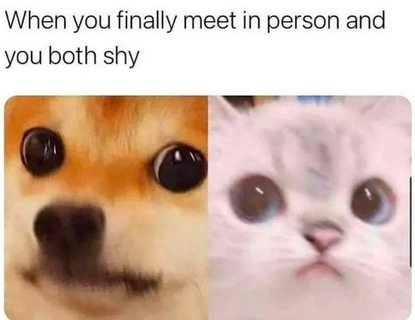 Memes For Single People (29 pics)