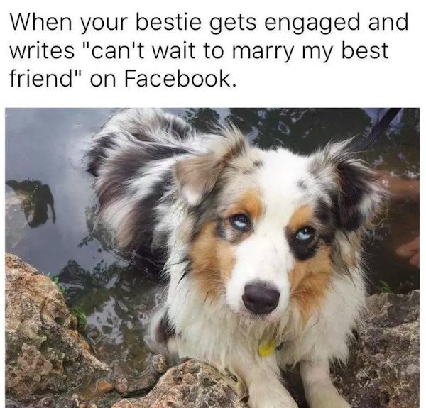 Memes For Single People (29 pics)