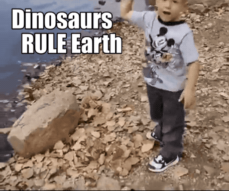 Wow GIFs (32 gifs)
