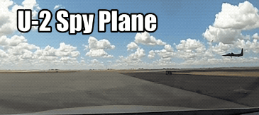 Wow GIFs (32 gifs)