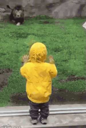 Wow GIFs (32 gifs)