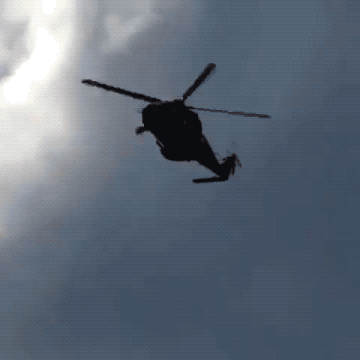 Wow GIFs (32 gifs)