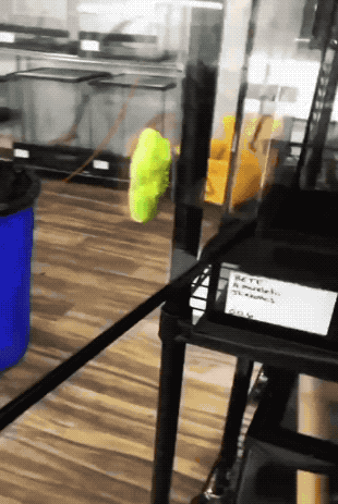 Wow GIFs (32 gifs)