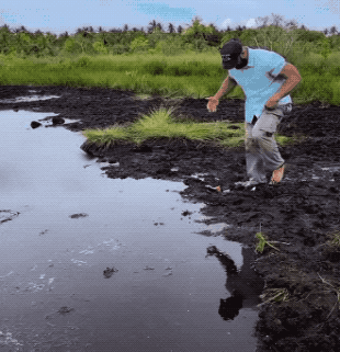 Wow GIFs (32 gifs)
