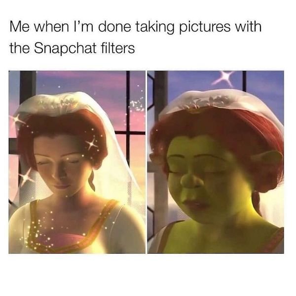 Women Memes (35 pics)
