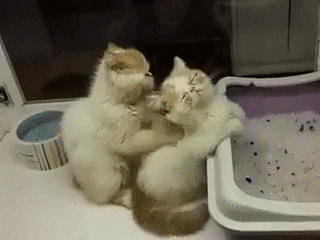 Acid Gifdump, September 7 (25 gifs)