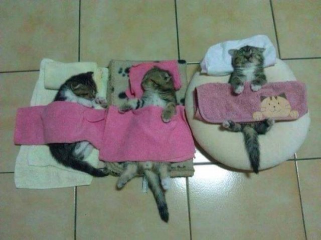 Acid Picdump 1 (89 pics)
