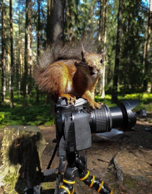 Acid Picdump 1 (89 pics)