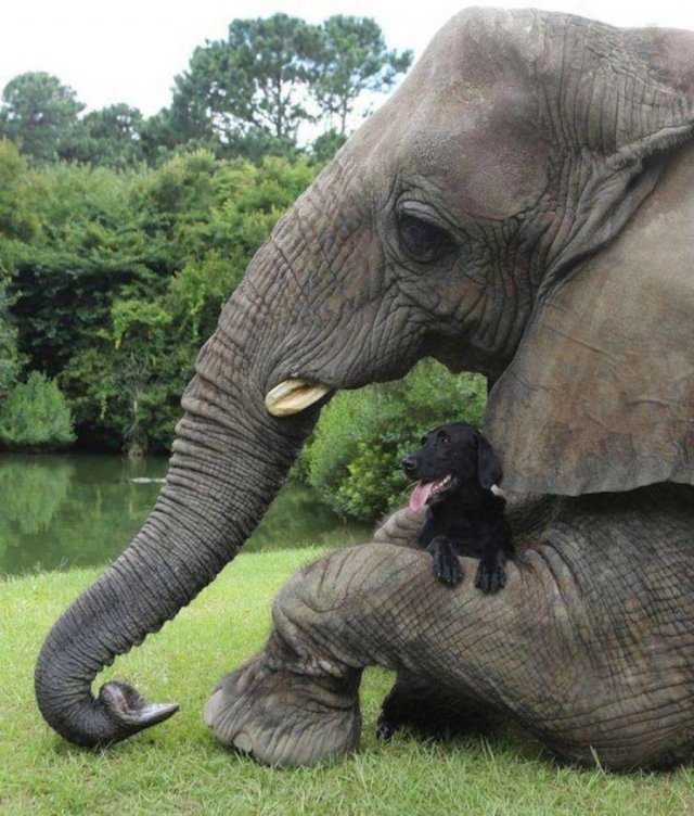 Acid Picdump 1 (89 pics)