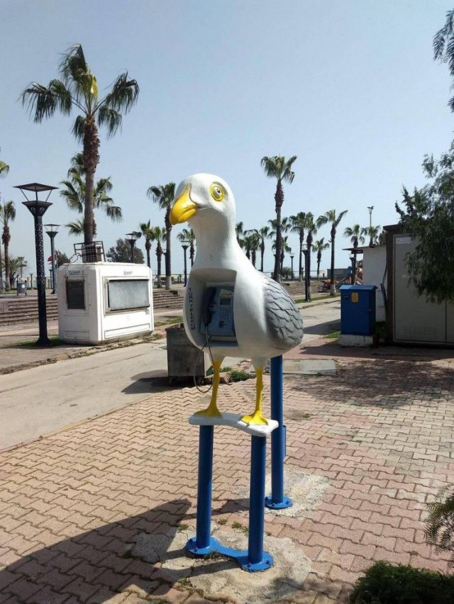 Acid Picdump 1 (89 pics)
