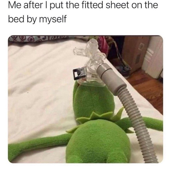 So True (40 pics)