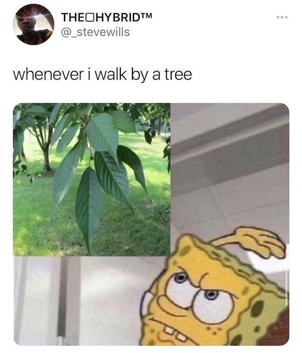 Relatable Memes And Tweets (27 pics)
