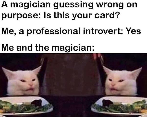 So True (40 pics)